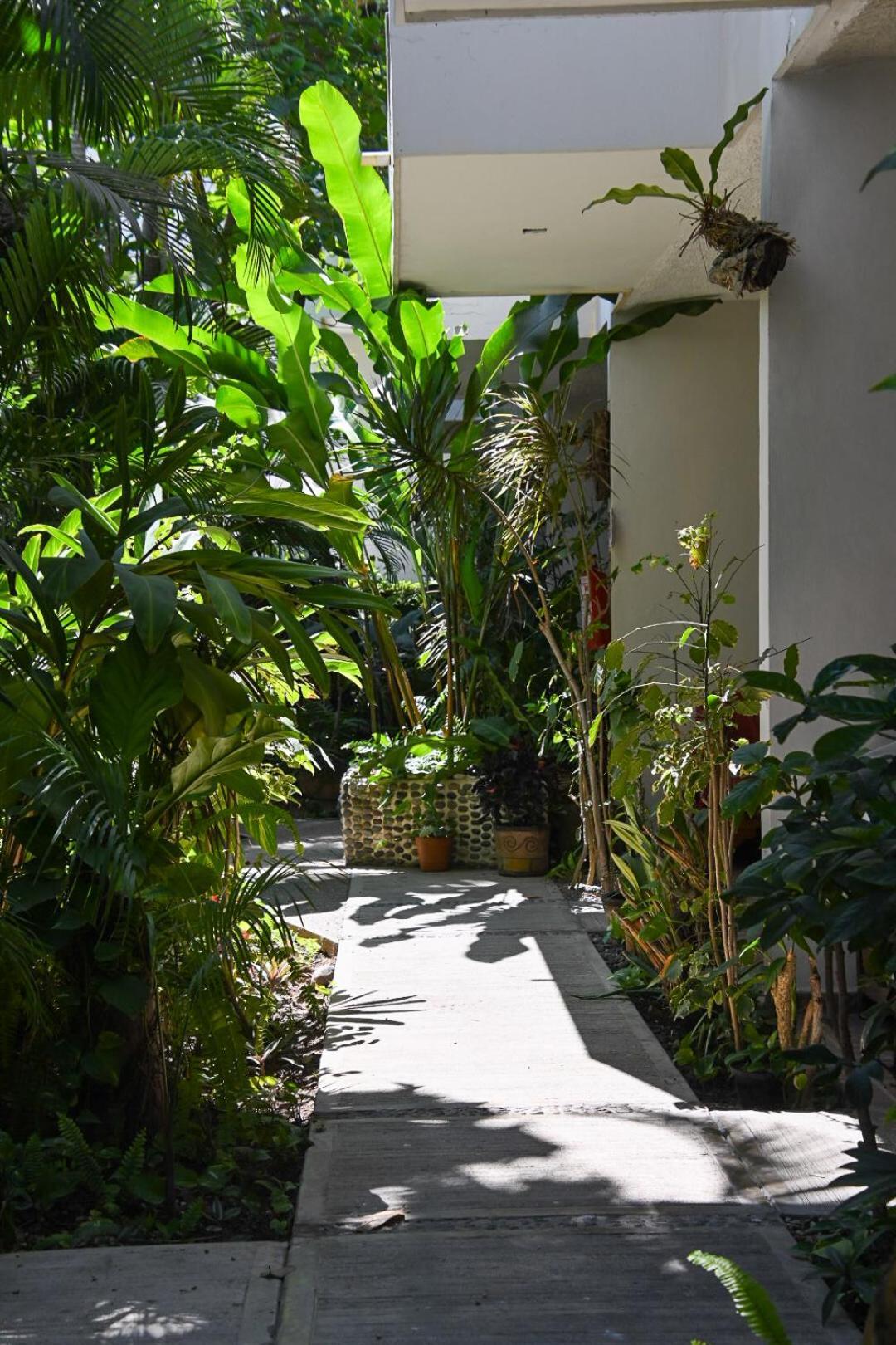 Hotel Palmeras Bucerías Exterior foto