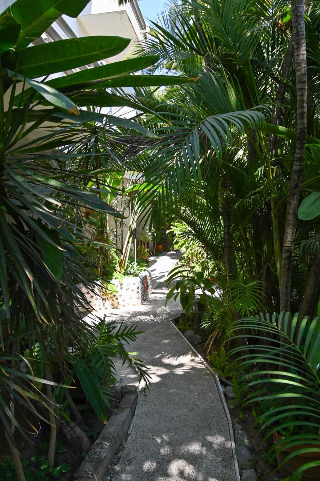 Hotel Palmeras Bucerías Exterior foto